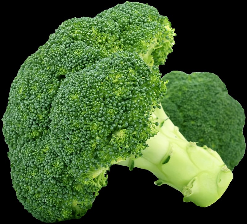 Enchanted Vegetables
