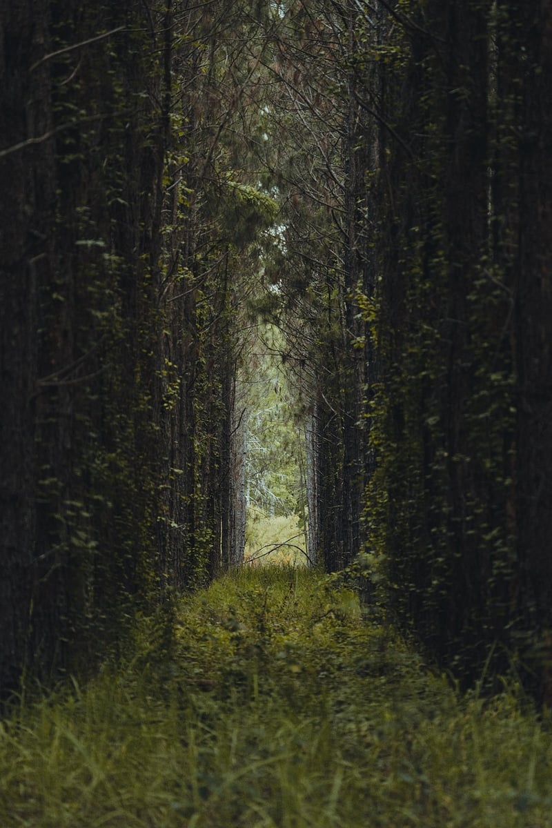 Magic Pathways