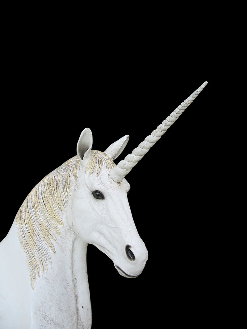 Unicorn Allies